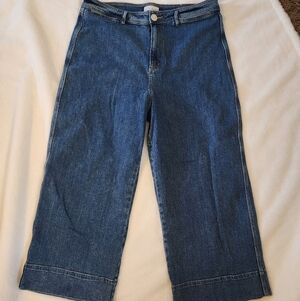 LOFT The Pakmer Wide-Leg Cropped Jeans